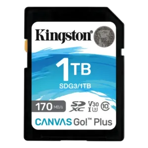 Tarjeta Memoria Sd Kingston Canvas Go! Plus 1tb 170mb/s