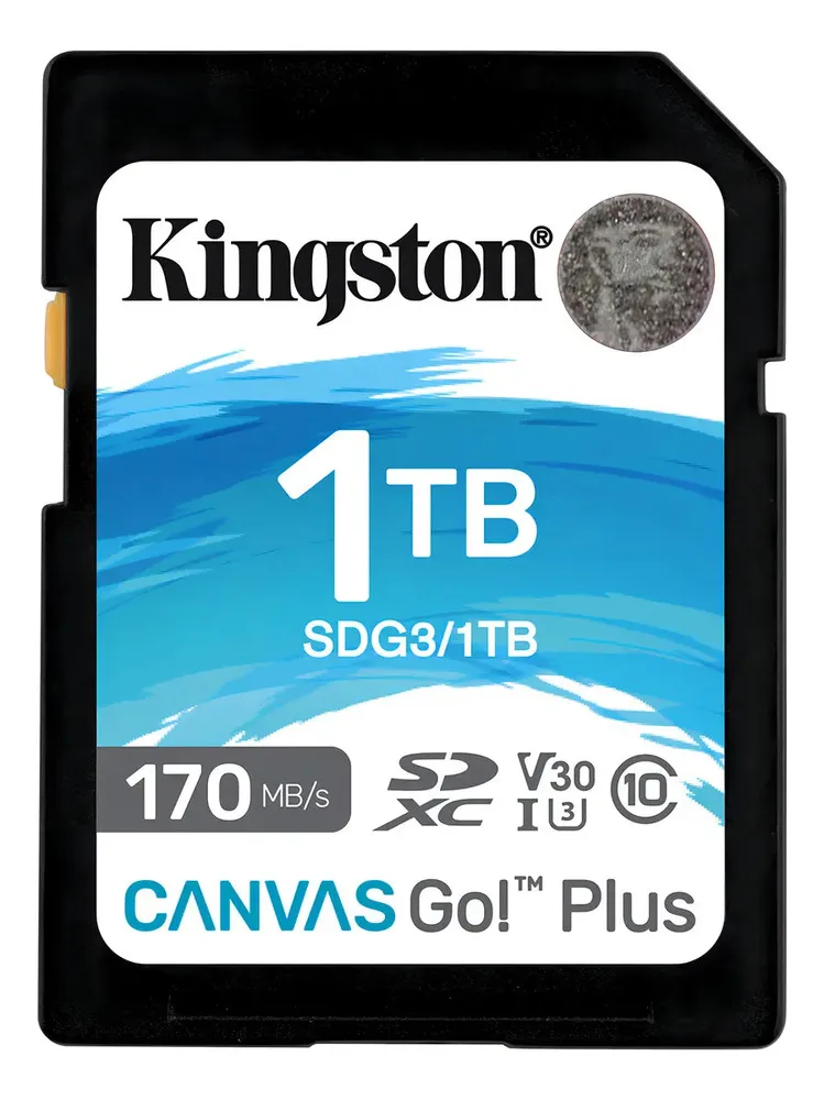 Tarjeta De Memoria Sdxc Kingston 1tb Canvas Go! Plus